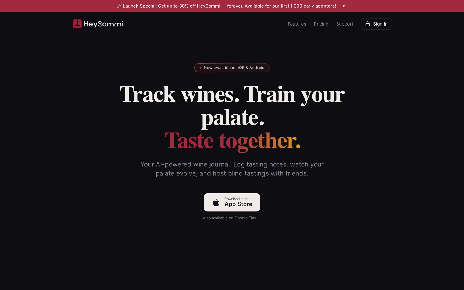 Website van HeySommi